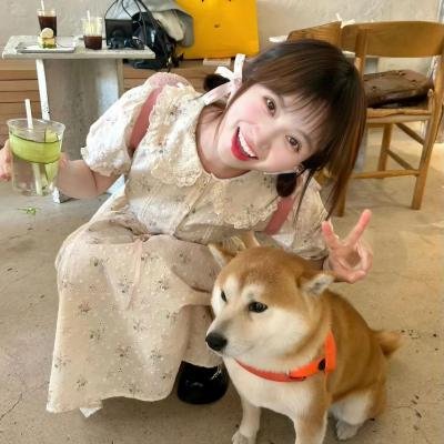 边野之火海报